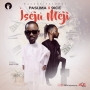 Iseju Meji by Pasuma ft 9ice