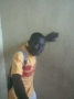 afeezcoaliu