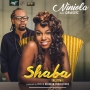 Shaba {Remix} by Niniola ft. Drastic