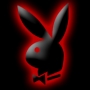 PLAYBOY007