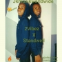 2vibez 