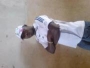Seedouf30