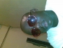 temi_honest