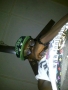 perryfwesh