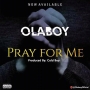 Ola Boy