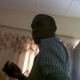 bilvis