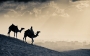 g_yonan