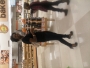 t4temmy