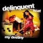 My Destiny by Deliquent ft. KCat