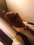 jnr_young