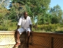 sagaboyz