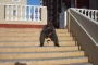 bisi4real