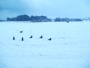 omojehovah2010