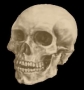 djrascky
