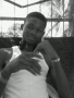 Harrisy