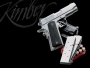 shutgun