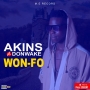 Akins Ft Donwake