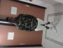 jaywizz131