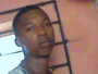 hemmi2009