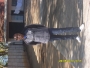 snash