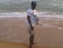 palmoo