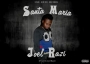 Joel Razi 