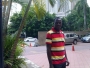 joejoesimple