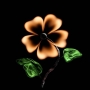 mybutterfly