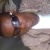 steven780