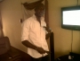 nonyboy84