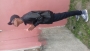 MxoZulu