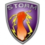 Storm all stars freestyle by Neato C, dbanj, Eldee, ikechukwu
