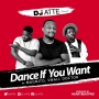 Dance If You Want by DJ Atte ft. Magnito, Small Doctor 
