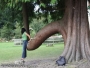 sexxy