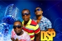 HOW COULD YOU by DSP