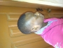 georgeousy