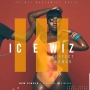 Ice wiz