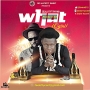 Zealot X phyno (90hitz music)