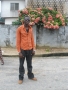 9jablug_guy