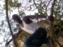 fl4god_love