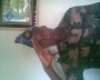 Fasharp