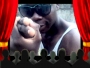 Olumide123