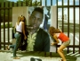 TBX DIS KONGA by TBX