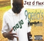 shake by jez d flex