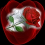 ndtony4u