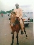 tamusoman