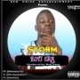 Storm