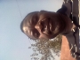anphiri