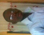 eddy4xrist