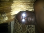 borbor2k4